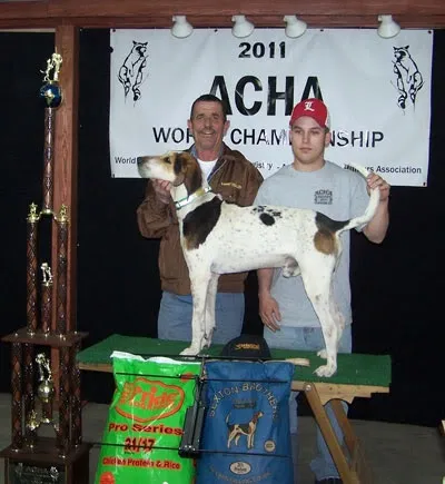 World champion coon sales dog