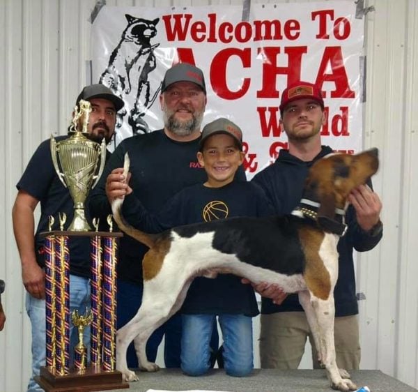 World champion coon store dog